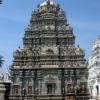Temple Gallery Photo#5