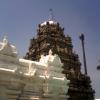 Temple Gallery Photo#4