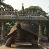 Srikurmam-8