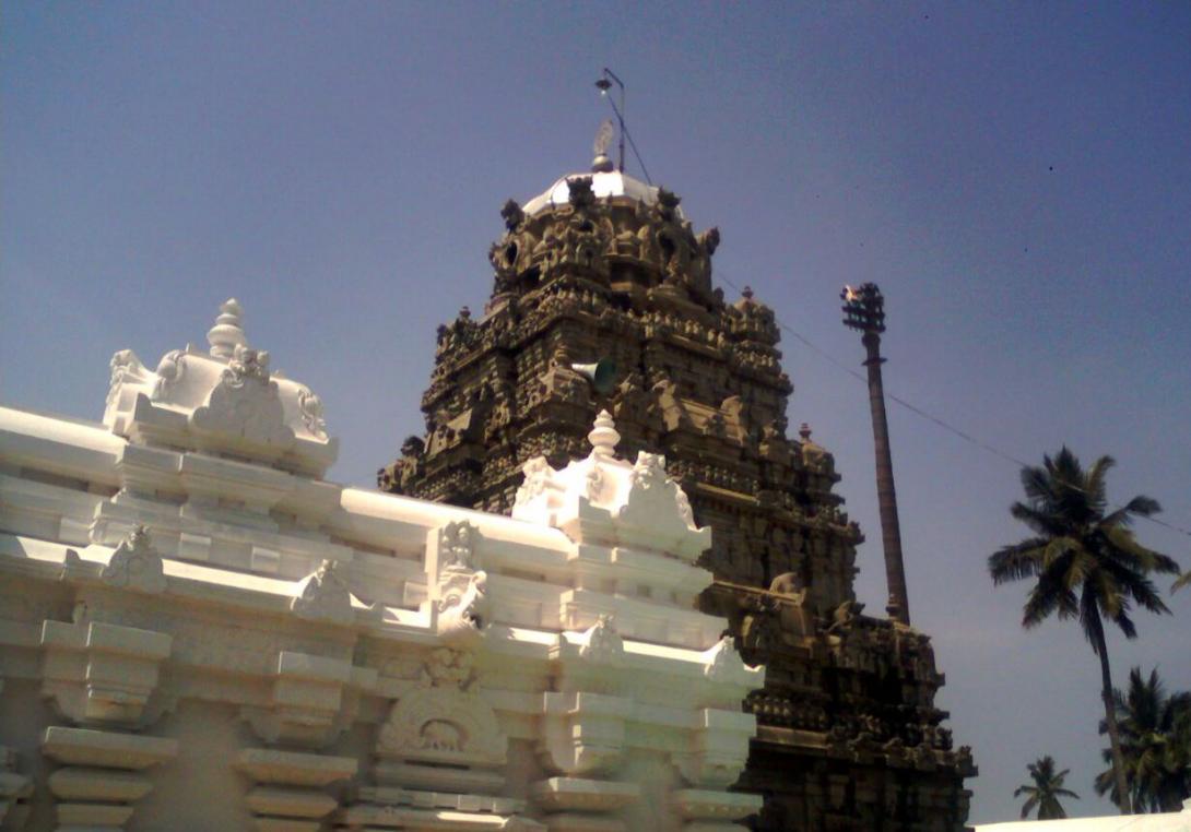 Temple Gallery Photo#4