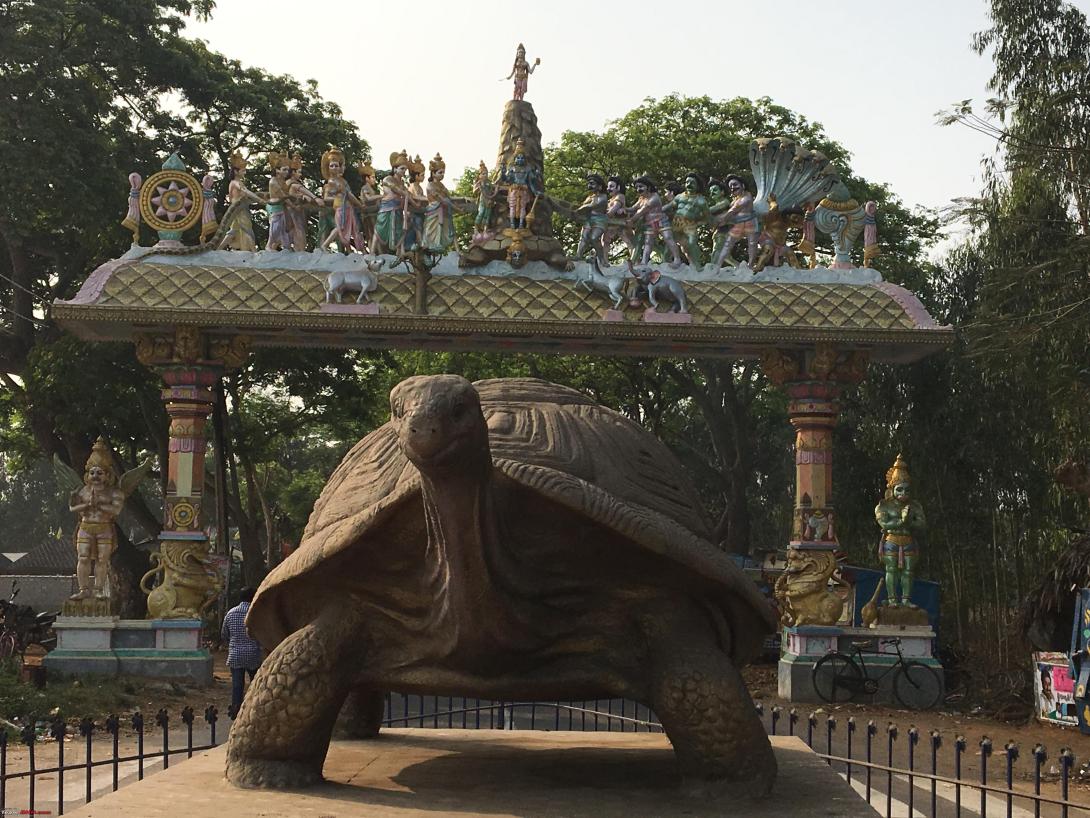 Srikurmam-8